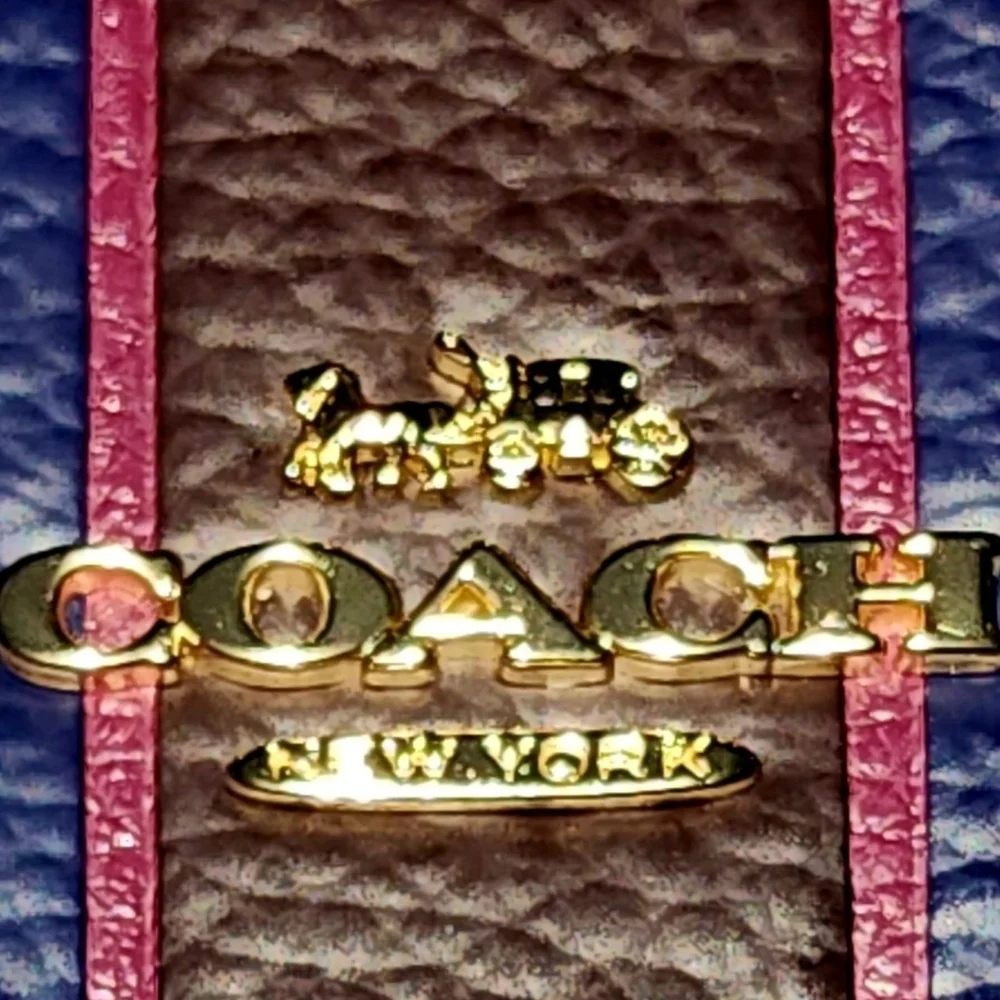 Coach Jes Gallery Pouch